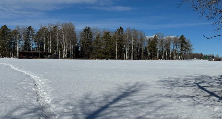 414006 Range Road 6-3, Rural Clearwater County, Alberta T4T2A1, ,Land,For Sale,Range Road 6-3,A2294048