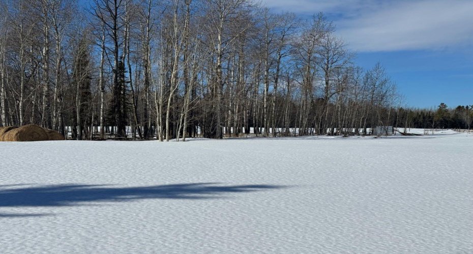 414006 Range Road 6-3, Rural Clearwater County, Alberta T4T2A1, ,Land,For Sale,Range Road 6-3,A2294048