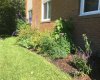 Flower Beds