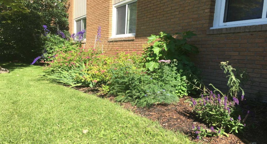 Flower Beds