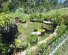 Community Garden