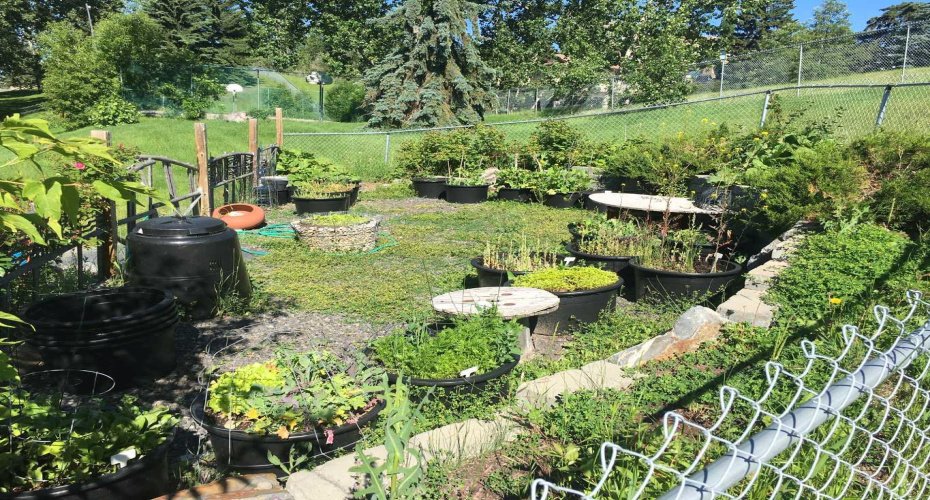 Community Garden