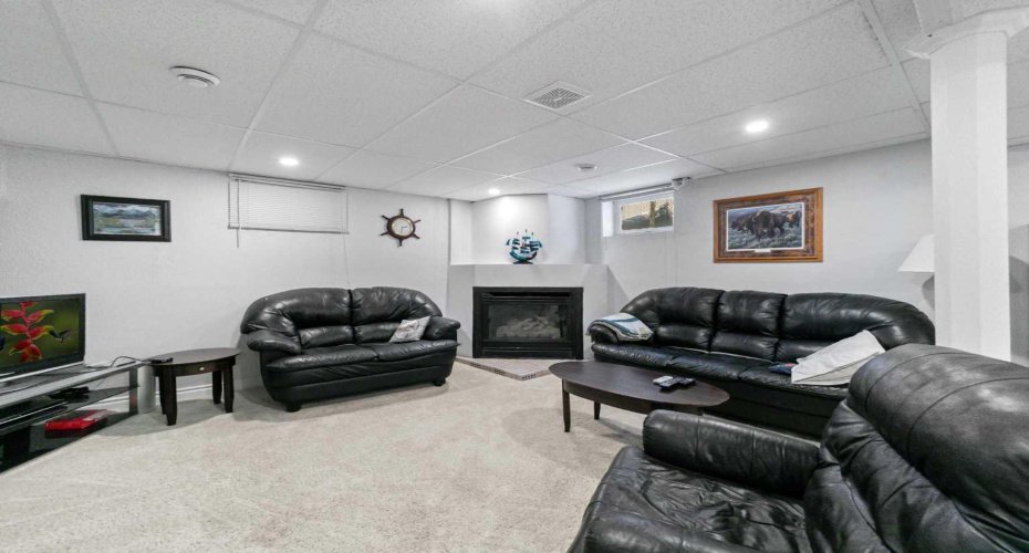 Basement Living Room
