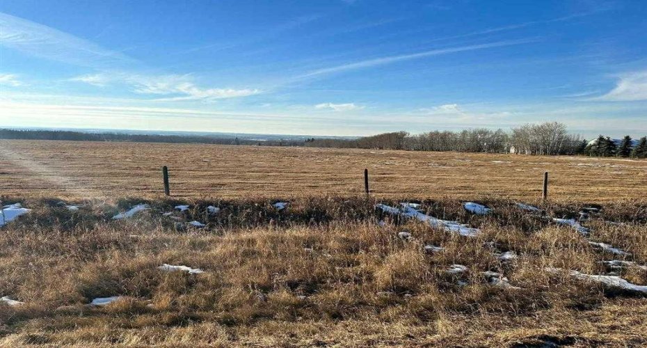 2910 & 2920 35 Street, Ponoka, Alberta T4J 1A7, ,Agri-business,For Sale,35,A2294220