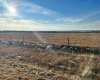 2910 & 2920 35 Street, Ponoka, Alberta T4J 1A7, ,Agri-business,For Sale,35,A2294220