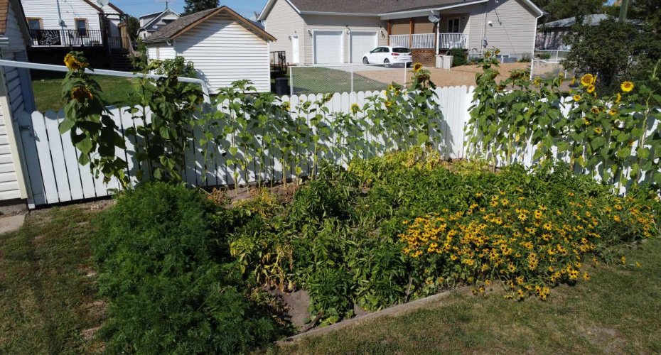 206 4 Avenue, Hanna, Alberta T0J1P0, 4 Bedrooms Bedrooms, ,2 BathroomsBathrooms,Residential,For Sale,4,A2294373