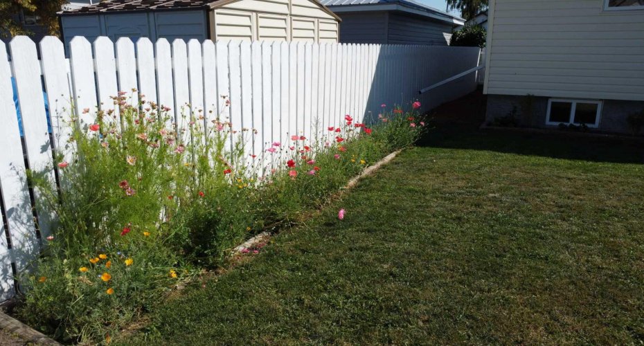 206 4 Avenue, Hanna, Alberta T0J1P0, 4 Bedrooms Bedrooms, ,2 BathroomsBathrooms,Residential,For Sale,4,A2294373