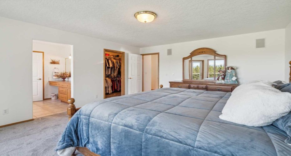 Primary bedroom with walk-in closet and bath