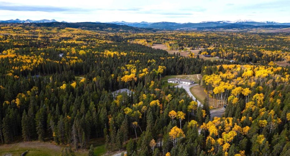Fall colours with mountains beyond