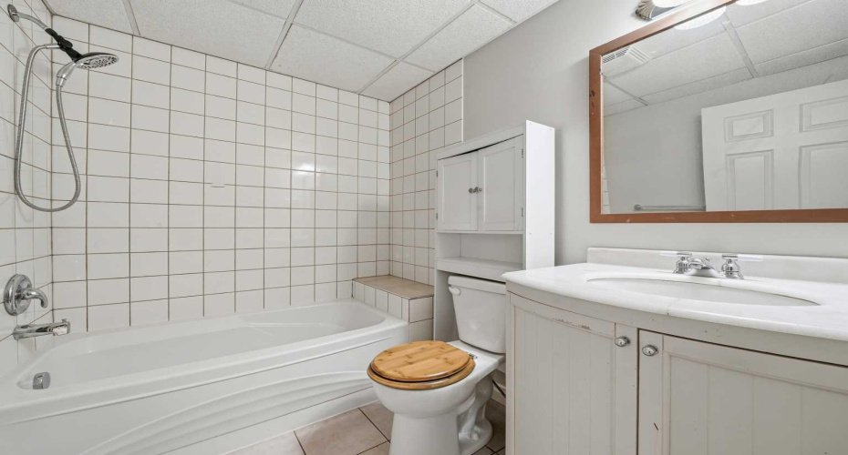 Basement Bathroom