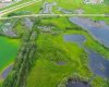 SW 1-50-2-W4, Rural Vermilion River, County of, Alberta T0B 0L0, ,Land,For Sale,SW 1-50-2-W4,A2282114