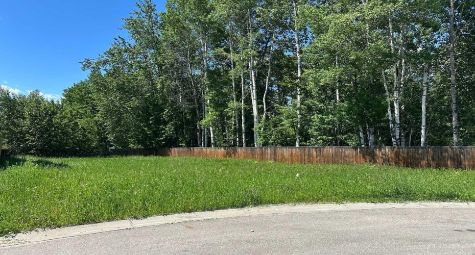 68 Pritchard Drive, Whitecourt, Alberta T7S 0G3, ,Land,For Sale,Pritchard,A2294406