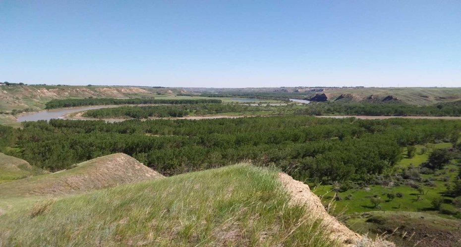 4;22;9;14; SW, SE, Rural Lethbridge County, Alberta T0L 0V0, ,Agri-business,For Sale,SW,SE,A2294499
