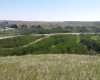 4;22;9;14; SW, SE, Rural Lethbridge County, Alberta T0L 0V0, ,Agri-business,For Sale,SW,SE,A2294499
