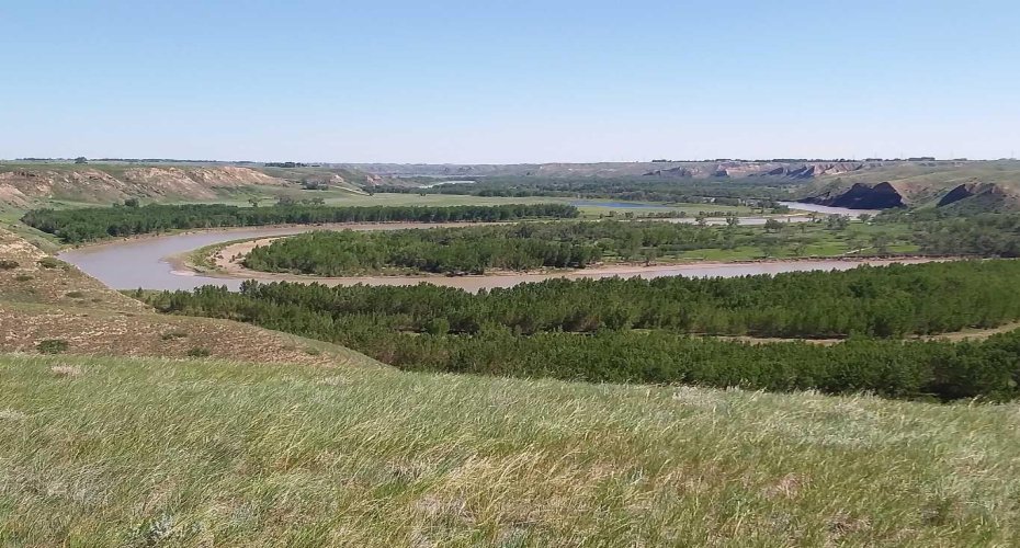 4;22;9;14; SW, SE, Rural Lethbridge County, Alberta T0L 0V0, ,Agri-business,For Sale,SW,SE,A2294499