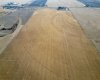 4;22;9;14; SW, SE, Rural Lethbridge County, Alberta T0L 0V0, ,Agri-business,For Sale,SW,SE,A2294499