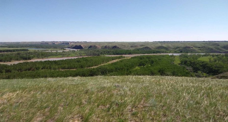 4;22;9;14; SW, SE, Rural Lethbridge County, Alberta T0L 0V0, ,Agri-business,For Sale,SW,SE,A2294499