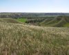 4;22;9;14; SW, SE, Rural Lethbridge County, Alberta T0L 0V0, ,Agri-business,For Sale,SW,SE,A2294499