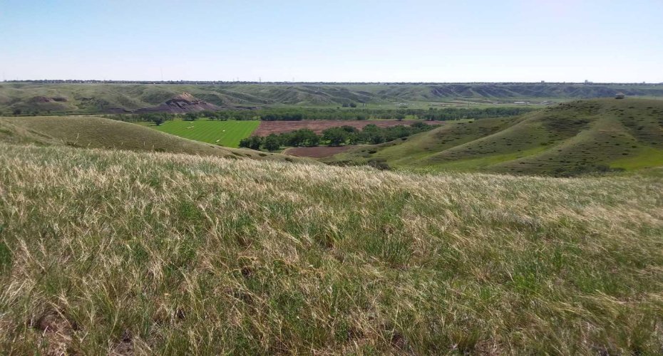 4;22;9;14; SW, SE, Rural Lethbridge County, Alberta T0L 0V0, ,Agri-business,For Sale,SW,SE,A2294499