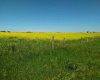4;22;9;14; SW, SE, Rural Lethbridge County, Alberta T0L 0V0, ,Agri-business,For Sale,SW,SE,A2294499