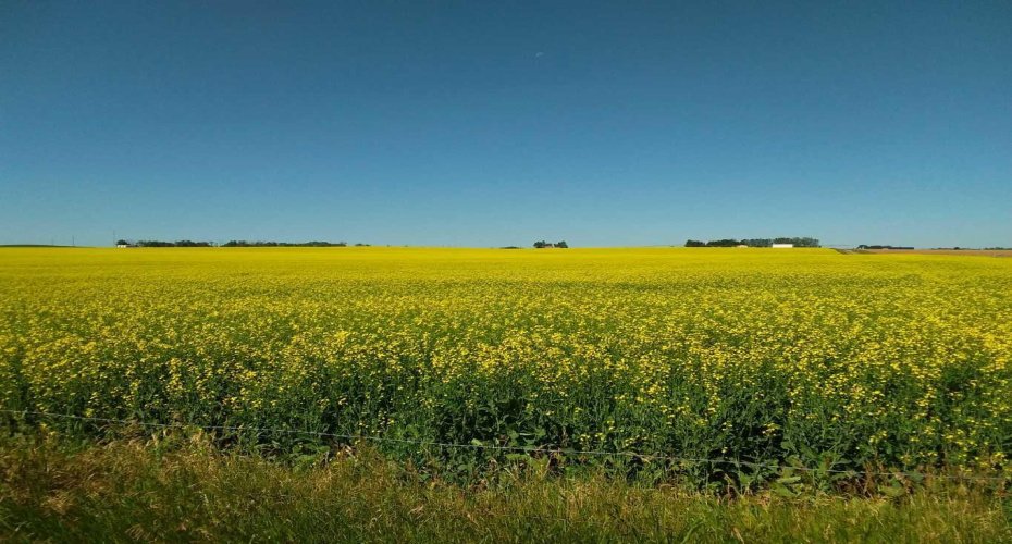 4;22;9;14; SW, SE, Rural Lethbridge County, Alberta T0L 0V0, ,Agri-business,For Sale,SW,SE,A2294499