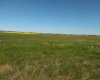 4;22;9;14; SW, SE, Rural Lethbridge County, Alberta T0L 0V0, ,Agri-business,For Sale,SW,SE,A2294499