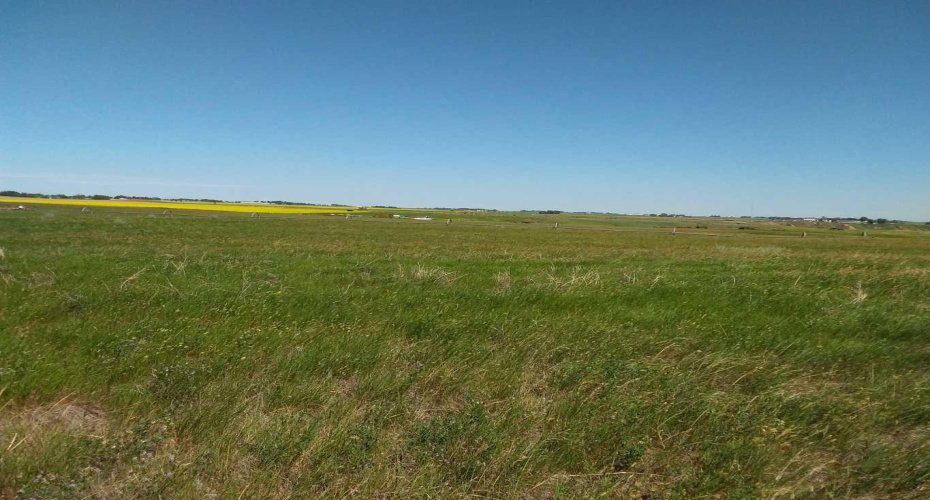 4;22;9;14; SW, SE, Rural Lethbridge County, Alberta T0L 0V0, ,Agri-business,For Sale,SW,SE,A2294499