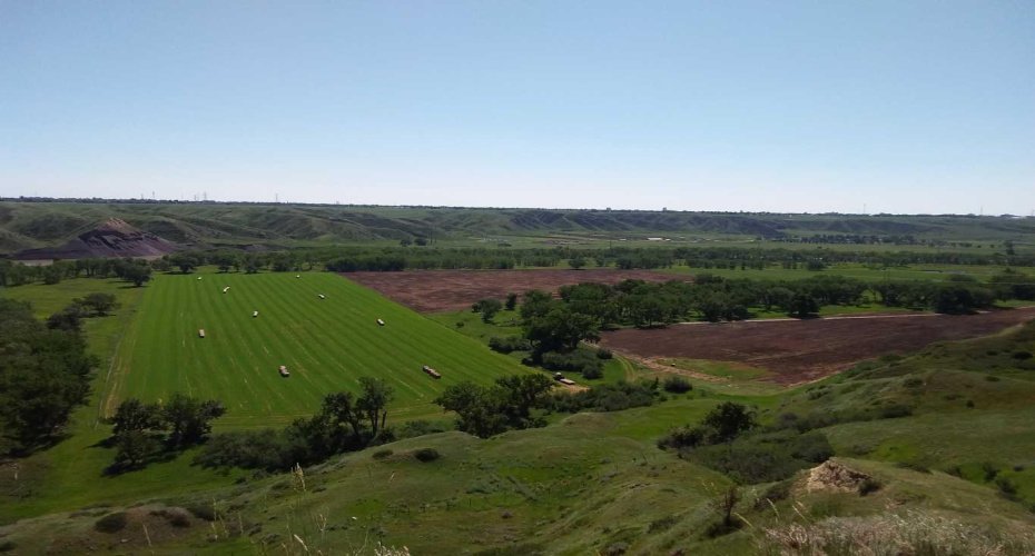 4;22;9;14; SW, SE, Rural Lethbridge County, Alberta T0L 0V0, ,Agri-business,For Sale,SW,SE,A2294499