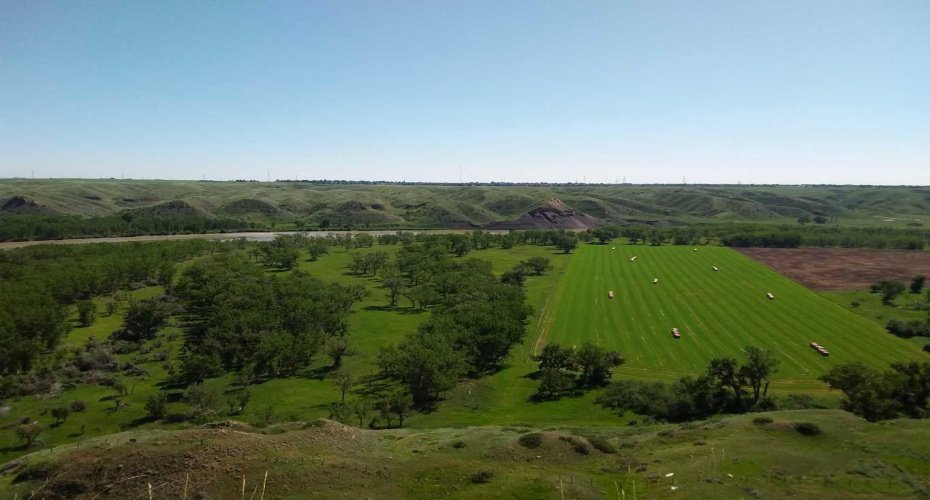 4;22;9;14; SW, SE, Rural Lethbridge County, Alberta T0L 0V0, ,Agri-business,For Sale,SW,SE,A2294499