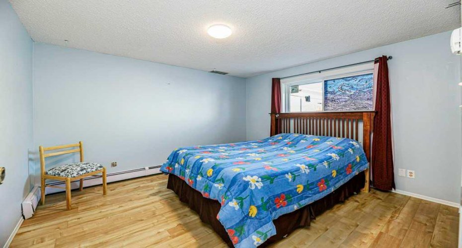 Basement Bedroom 1