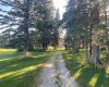 140 465015 Range Road 63A, Buck Lake, Alberta T0C 0T0, ,Land,For Sale,Range Road 63A,A2294751