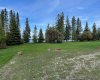 140 465015 Range Road 63A, Buck Lake, Alberta T0C 0T0, ,Land,For Sale,Range Road 63A,A2294751