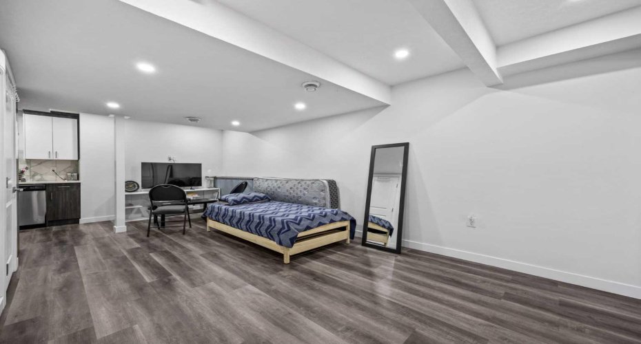 Basement living/Rec Room