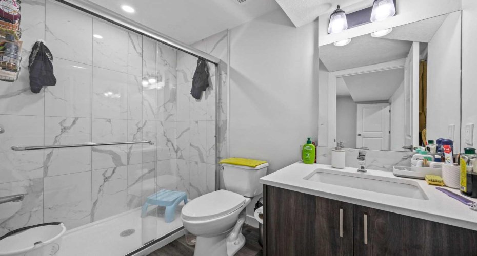 Basement Ensuite Bathroom