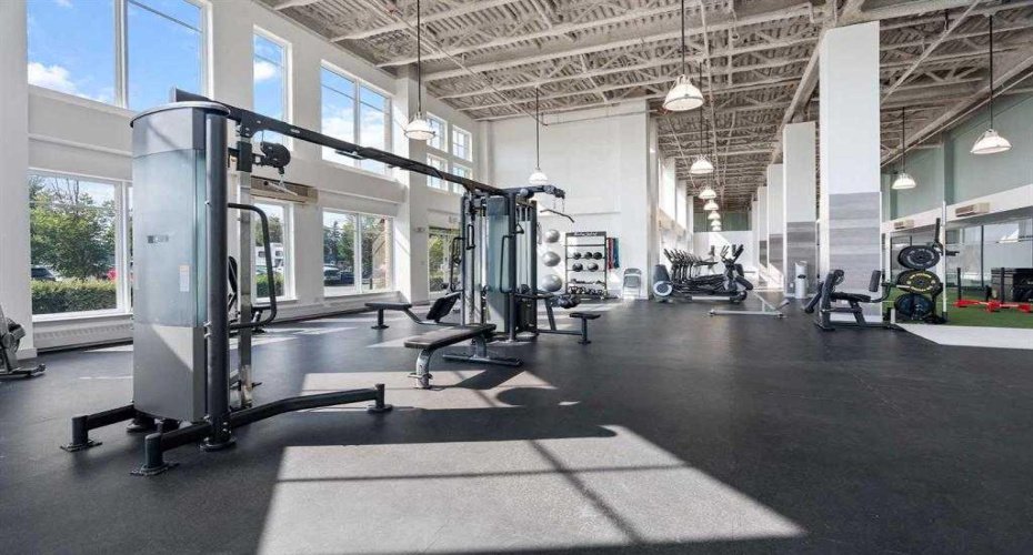 More Gym Photos