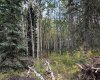 52 Elkstone Way, Rural Rocky View County, Alberta T4C2Y8, ,Land,For Sale,Elkstone,A2294945