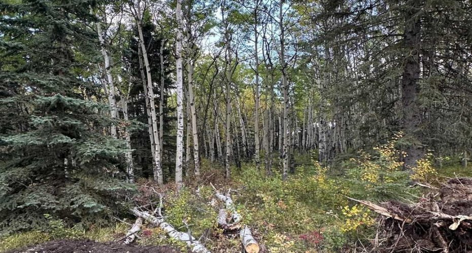 52 Elkstone Way, Rural Rocky View County, Alberta T4C2Y8, ,Land,For Sale,Elkstone,A2294945