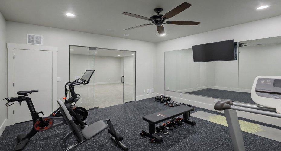 Basement Gym