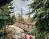 4037 42 Street, Calgary, Alberta T3A 2M9, 2 Bedrooms Bedrooms, ,3 BathroomsBathrooms,Residential,For Sale,42,A2294839