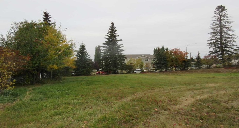 5137 52 Street, Rocky Mountain House, Alberta T4T 1E3, ,Land,For Sale,52,A2262783