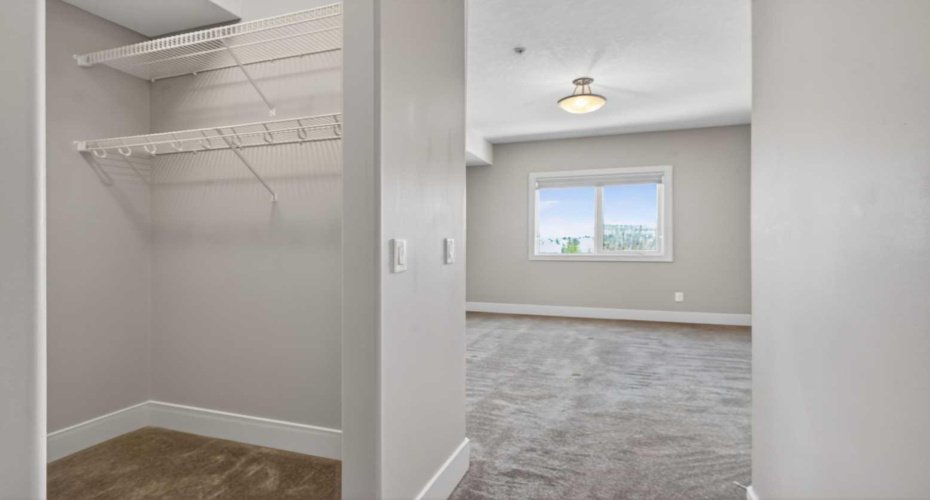 Primary Bedroom Walk In Closet