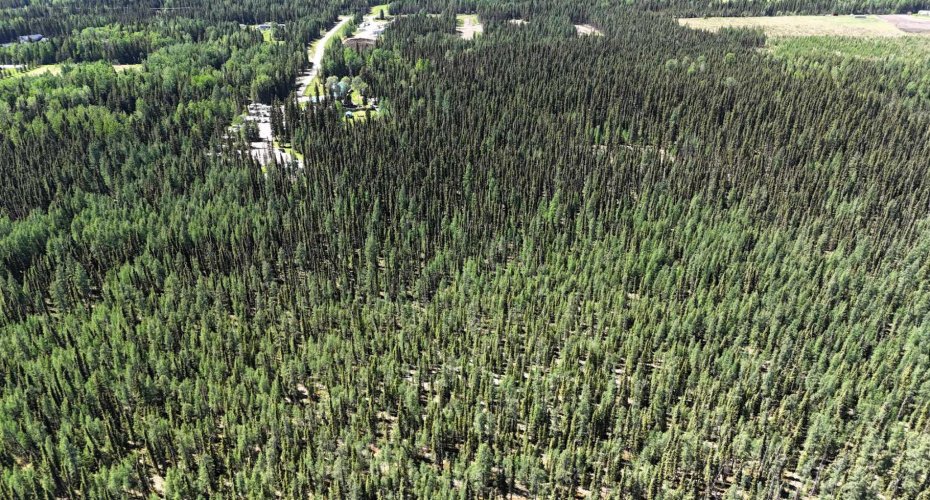 53509B Range Road 171, Rural Yellowhead County, Alberta T7E 3L1, 6 Bedrooms Bedrooms, ,4 BathroomsBathrooms,Residential,For Sale,Range Road 171,A2295108