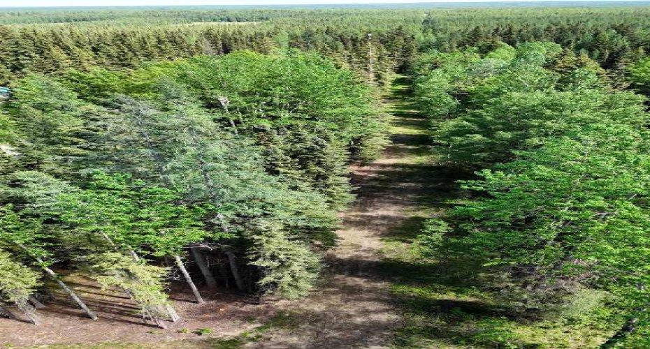 53509B Range Road 171, Rural Yellowhead County, Alberta T7E 3L1, 6 Bedrooms Bedrooms, ,4 BathroomsBathrooms,Residential,For Sale,Range Road 171,A2295108