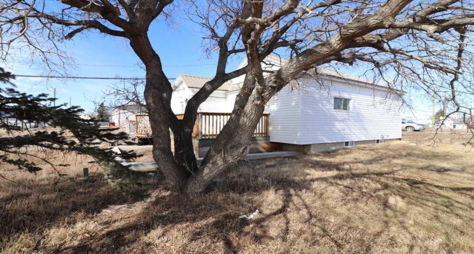 5 1 Avenue, Acadia Valley, Alberta T0J 0A0, 2 Bedrooms Bedrooms, ,1 BathroomBathrooms,Residential,For Sale,1,A2295198