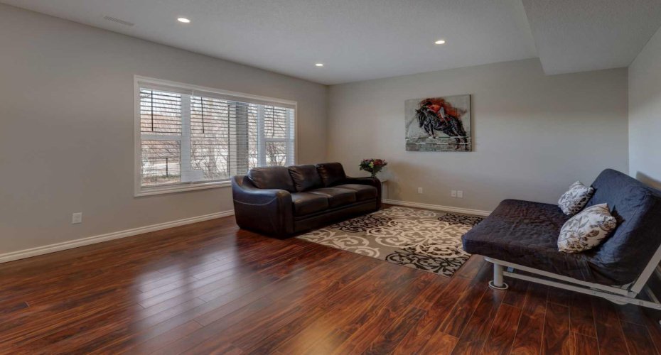 Huge Family room in the Walkout basement