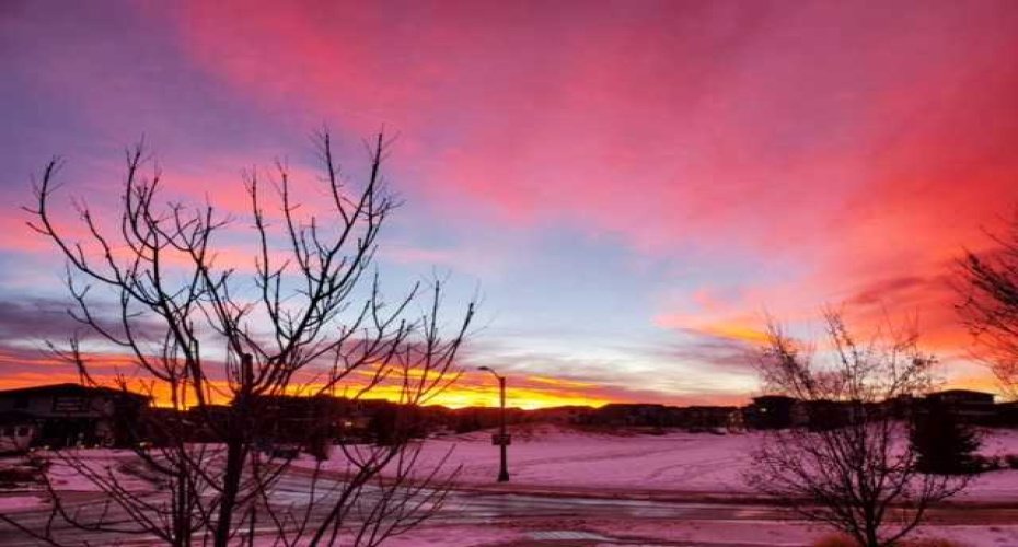 7 Arnica View, Rural Rocky View County, Alberta T3Z 0E1, 3 Bedrooms Bedrooms, ,3 BathroomsBathrooms,Residential,For Sale,Arnica,A2294433