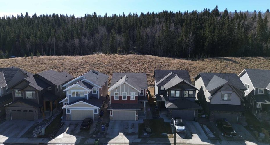 Green/Park space behind