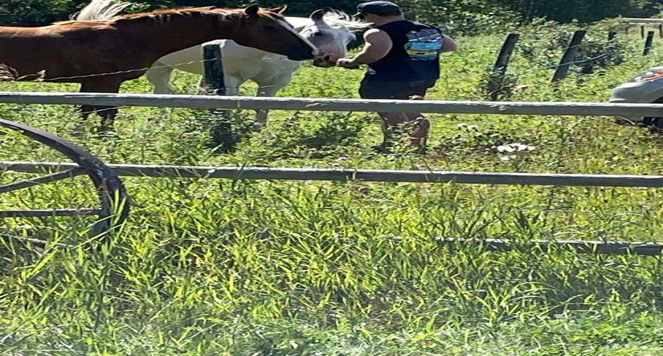 34331 Range Road 41 Road, Rural Red Deer County, Alberta T0M 0K0, ,Land,For Sale,Range Road 41,A2294621