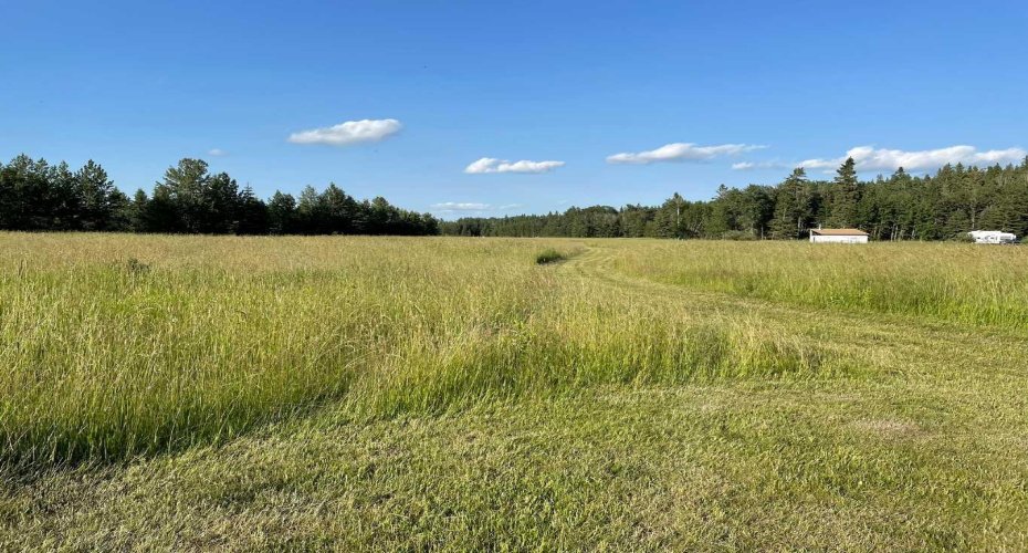 34331 Range Road 41 Road, Rural Red Deer County, Alberta T0M 0K0, ,Land,For Sale,Range Road 41,A2294621