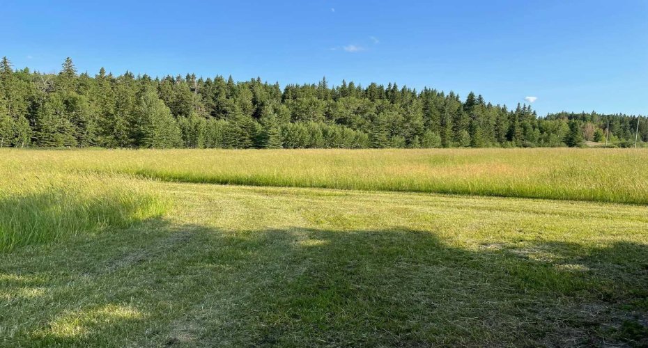 34331 Range Road 41 Road, Rural Red Deer County, Alberta T0M 0K0, ,Land,For Sale,Range Road 41,A2294621